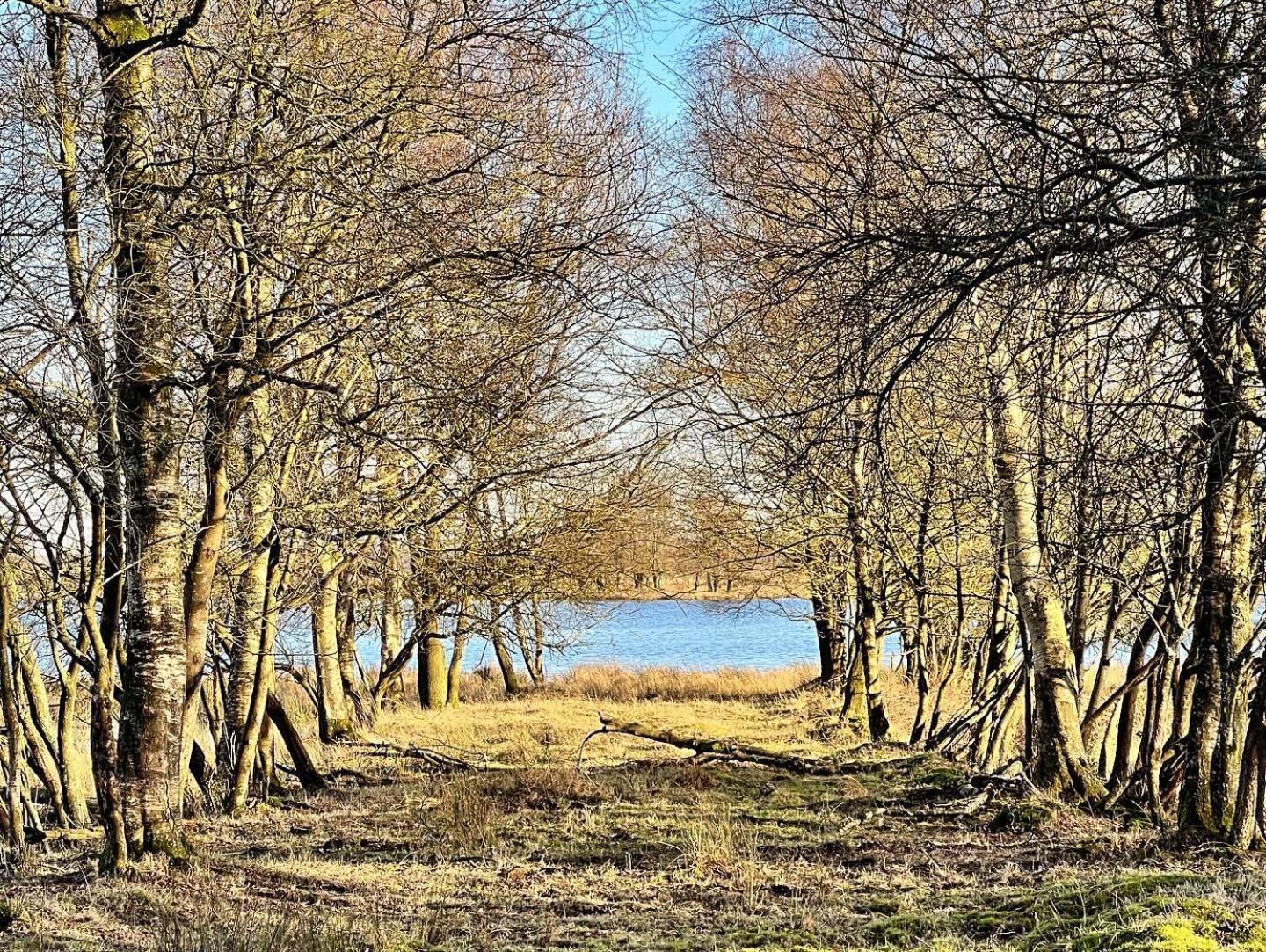 Natuurhuisje Meppen Екстериор снимка