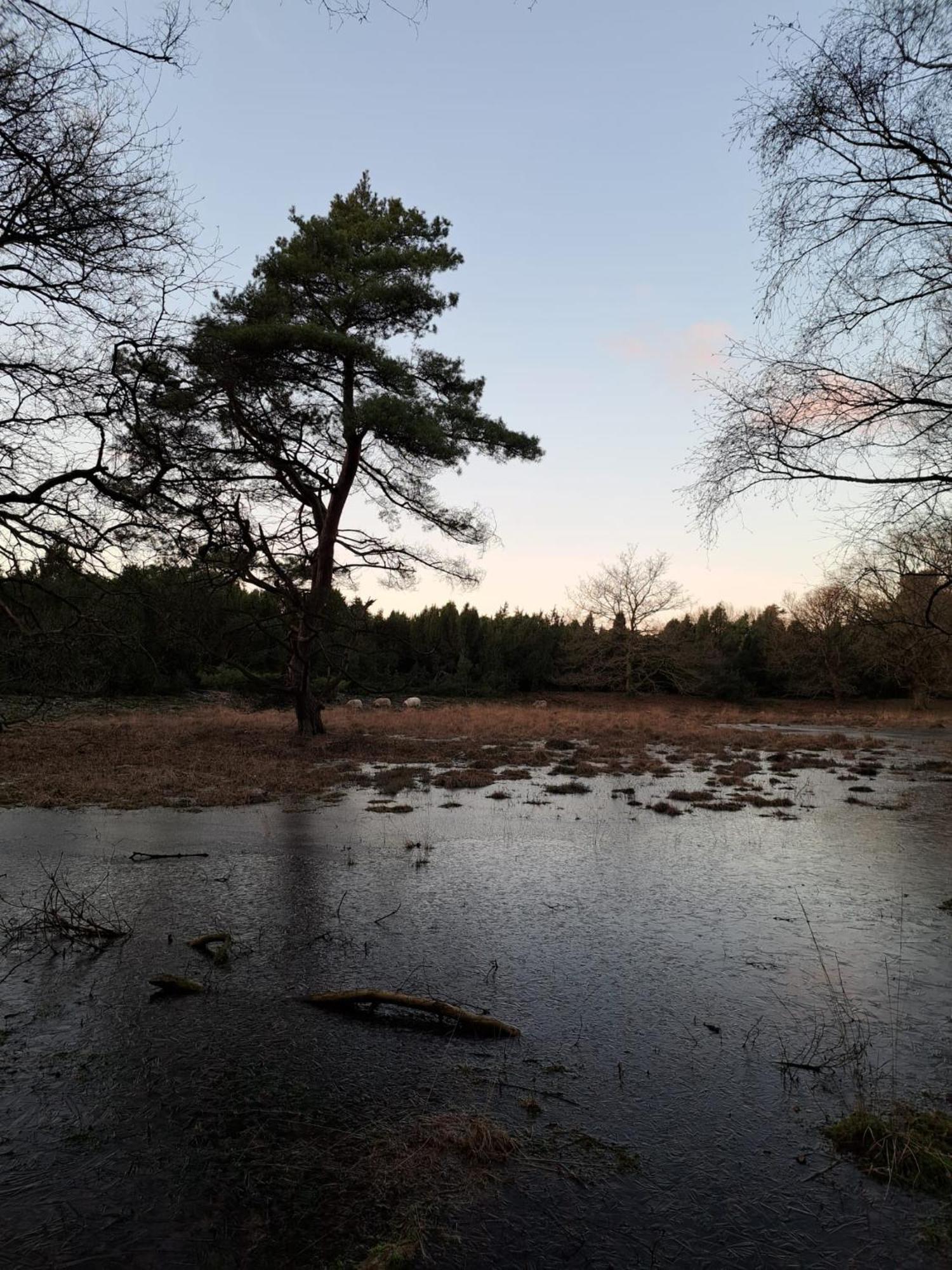 Natuurhuisje Meppen Екстериор снимка