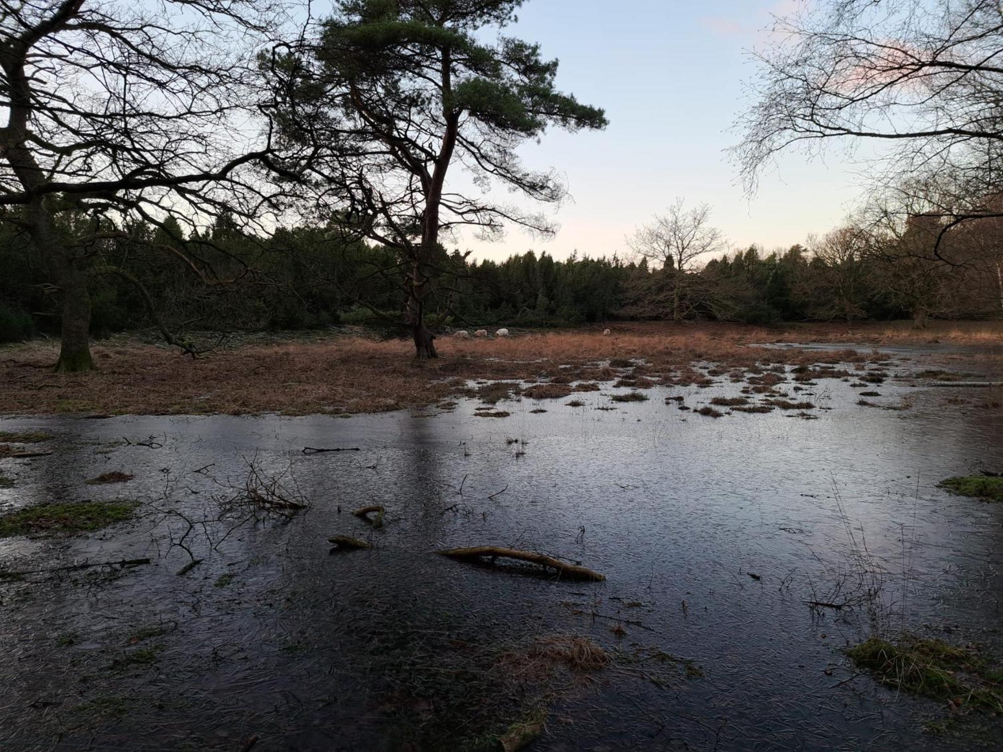 Natuurhuisje Meppen Екстериор снимка