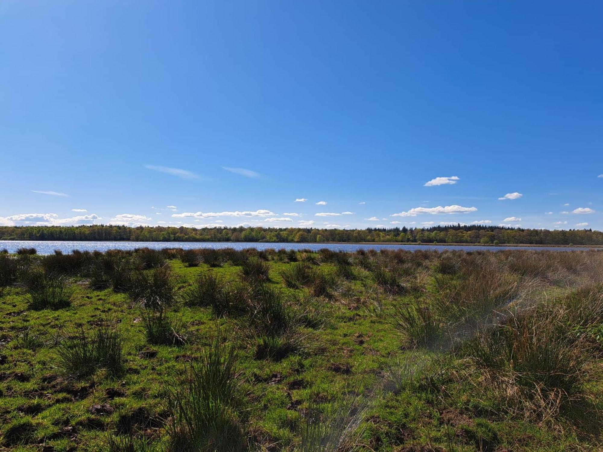 Natuurhuisje Meppen Екстериор снимка