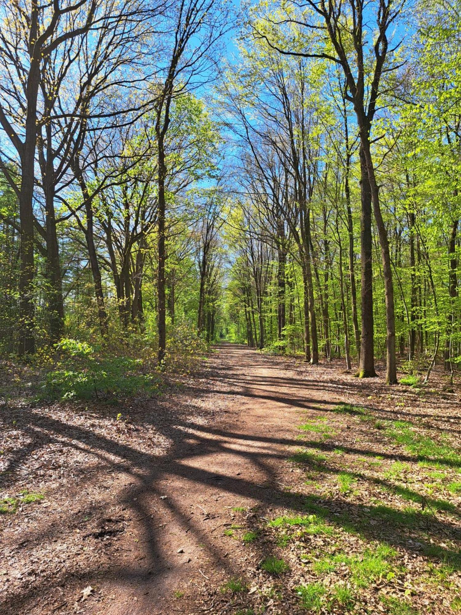 Natuurhuisje Meppen Екстериор снимка